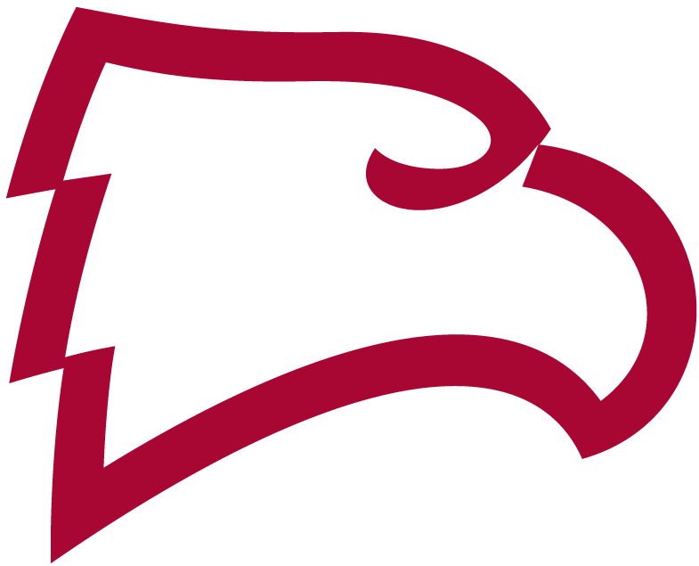 Winthrop Eagles 1995-Pres Alternate Logo v3 DIY iron on transfer (heat transfer)